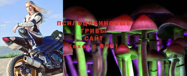 эйфоретик Абаза