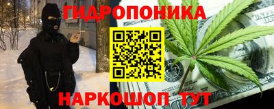 ECSTASY Новодвинск