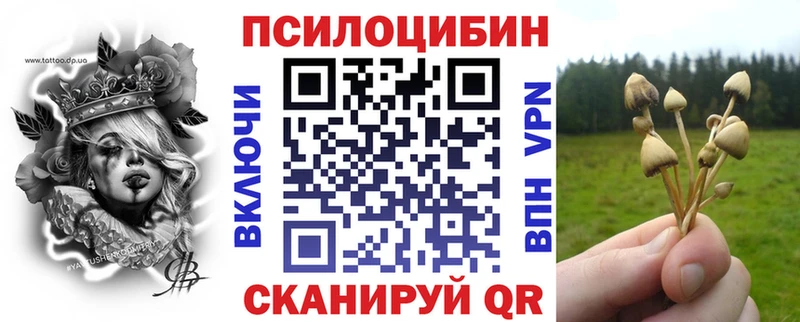 Галлюциногенные грибы Psilocybine cubensis  Ступино 