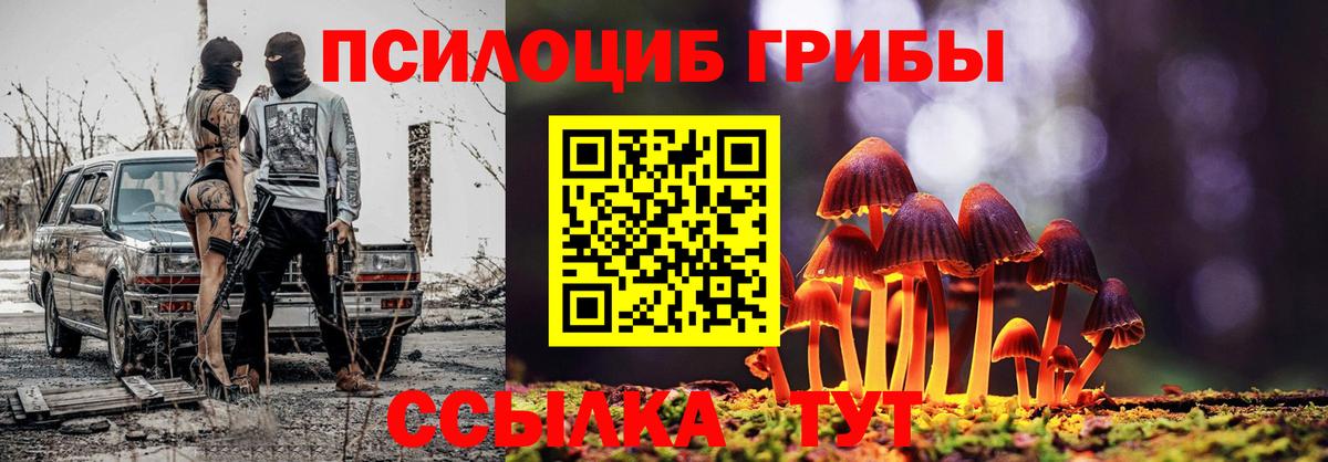 Галлюциногенные грибы GOLDEN TEACHER  Вход с VPN  что такое   Ступино 